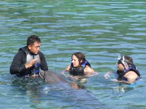 dolphin-quest-2