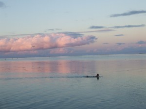 Lone Surfer at Dusk