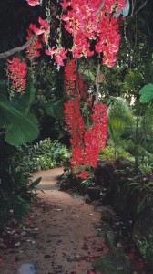 Cairns Botanic Gardens