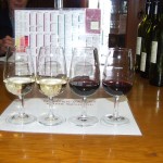 hunter-valley-wine-tasting-1