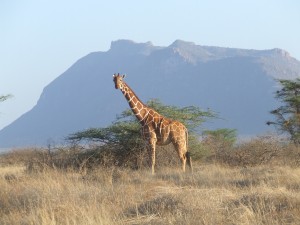 2007_1107kenya0068