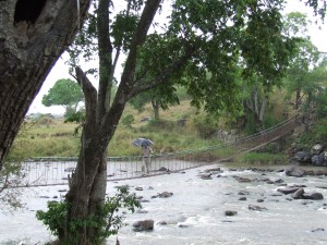 2007_1107kenya01381