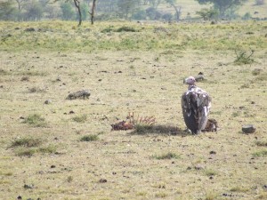 2007_1107kenya0181