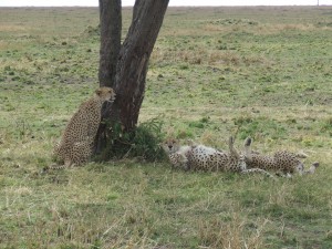 2007_1107kenya0219