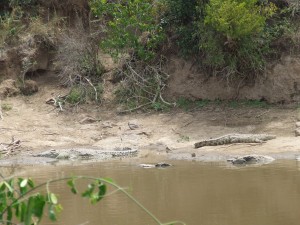 2007_1107kenya0242