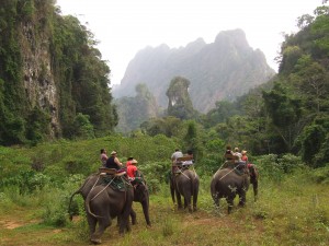 group #2, Elephant Hills