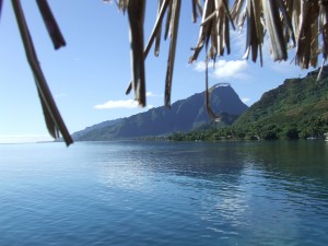 view from Moorea Inter-Continental