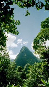 Tahiti landscape