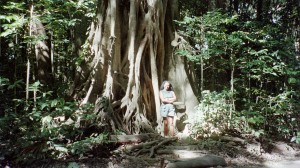 Cape Trib, JP 2