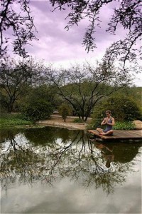 Serenity Meditation Pond