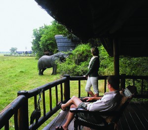 Savute Elephant Camp