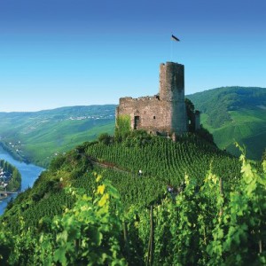 castle along the Rhine (2)